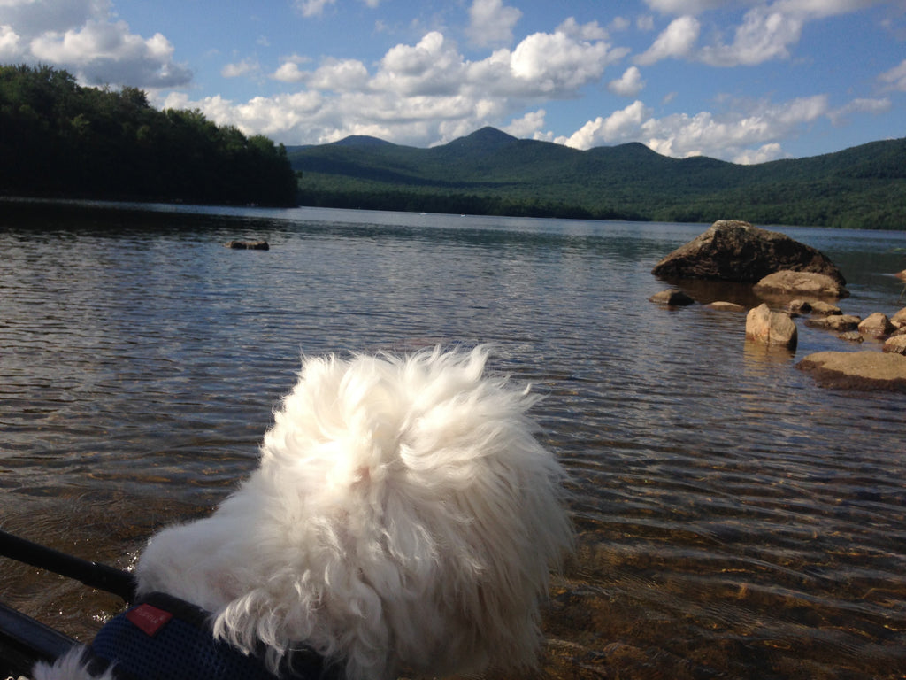 Chittenden Reservoir, Chittenden VT