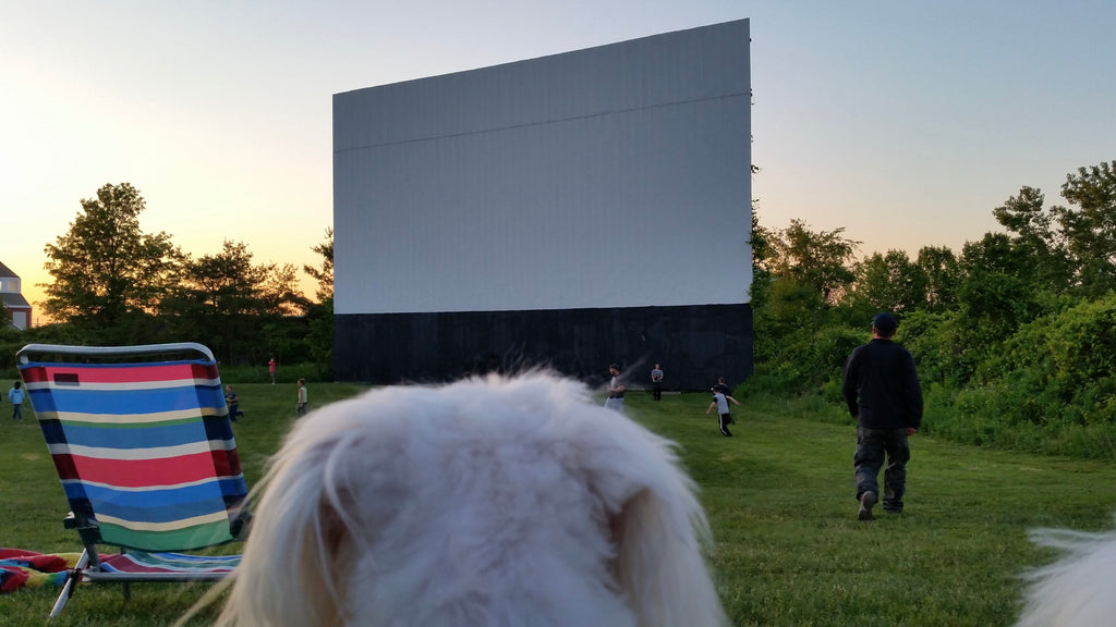 Mendon Twin Drive-In, Mendon MA